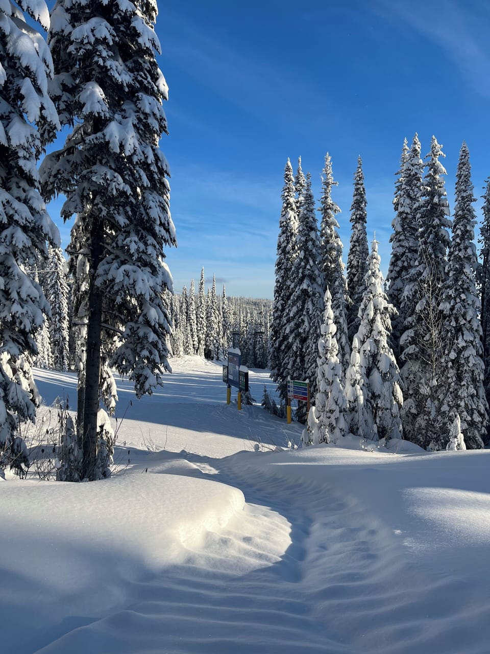 Skiway to Silver Woods Chairlift 