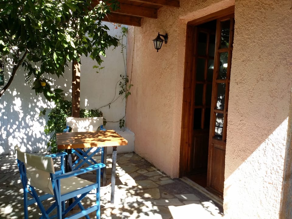 Image 6