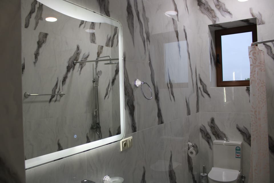 Deluxe Double or Twin Room, 1 Bedroom, Mountain View | Bathroom | Eco-friendly toiletries, hair dryer, slippers, bidet