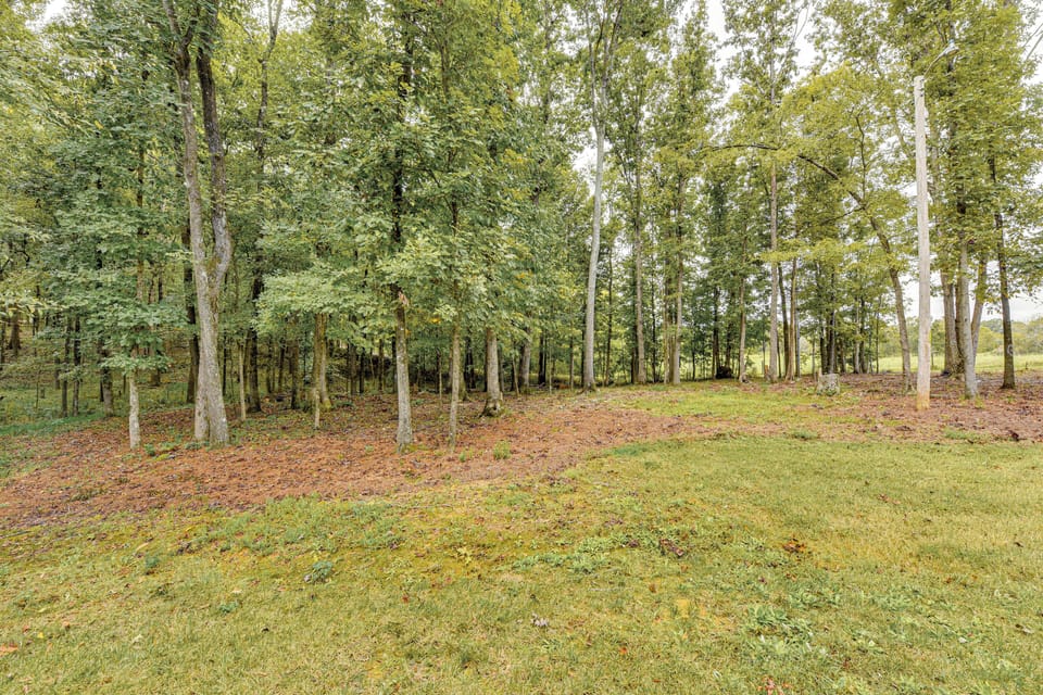 Private Backyard | Property Surroundings