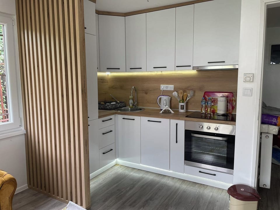 Family Apartment, Valley View | Private kitchen