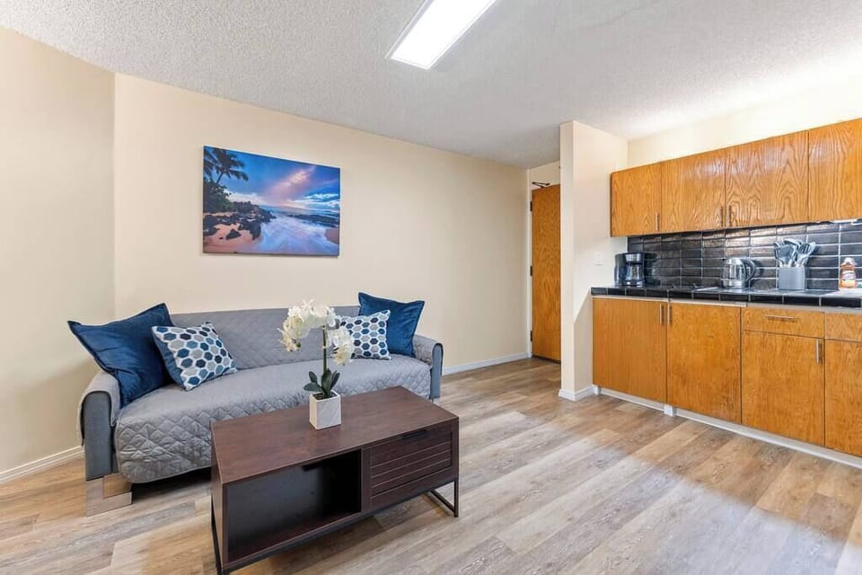 Living room and kitchen