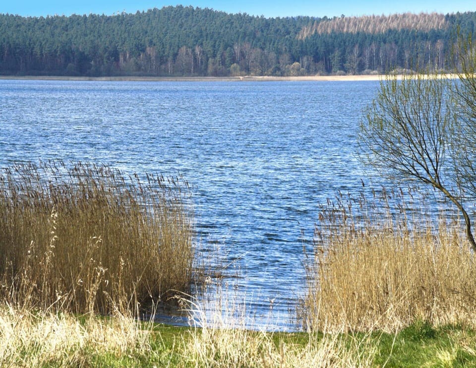 House | Water view