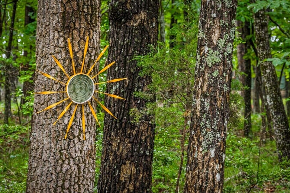 Art in nature!