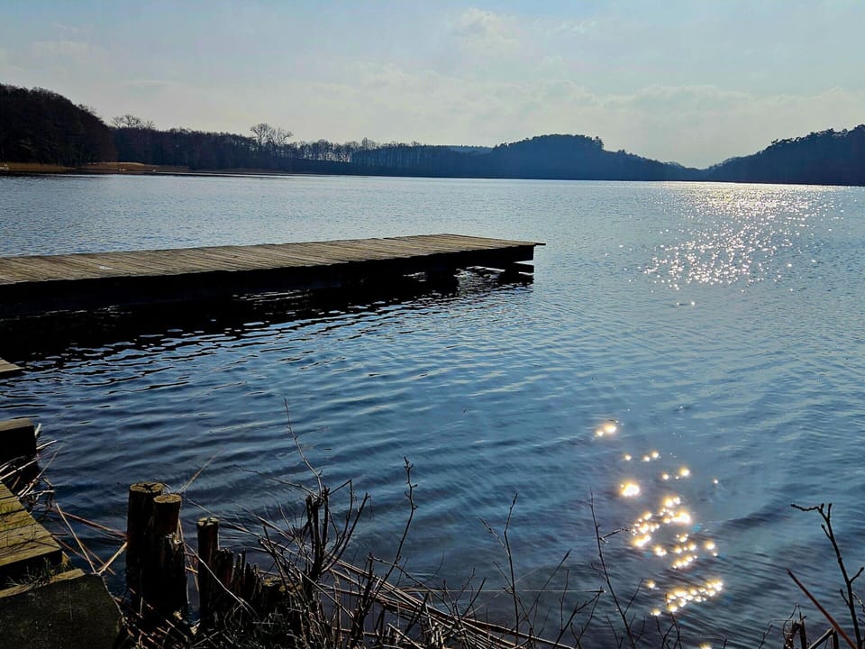 House | View from property