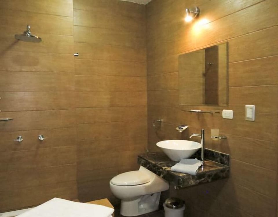 Hair dryer (on request), towels