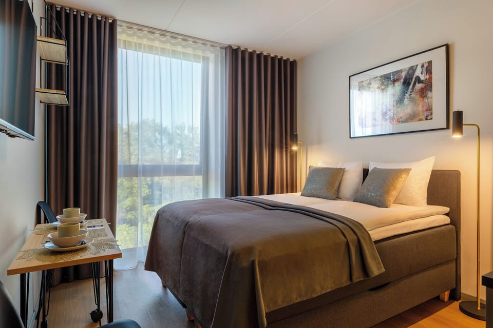 Deluxe Double Room, 1 Queen Bed | Laptop workspace, blackout drapes, soundproofing, iron/ironing board