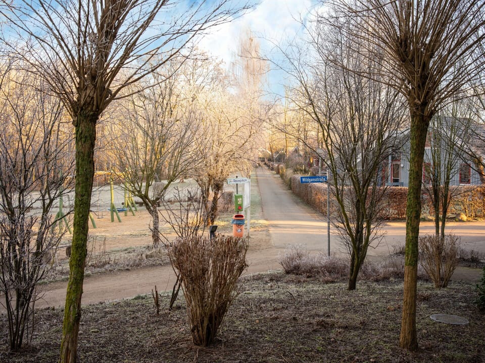 Apartment | View from property