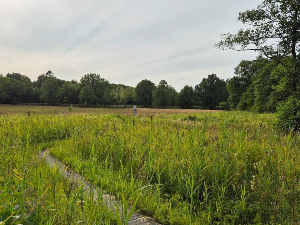 House | Miscellaneous