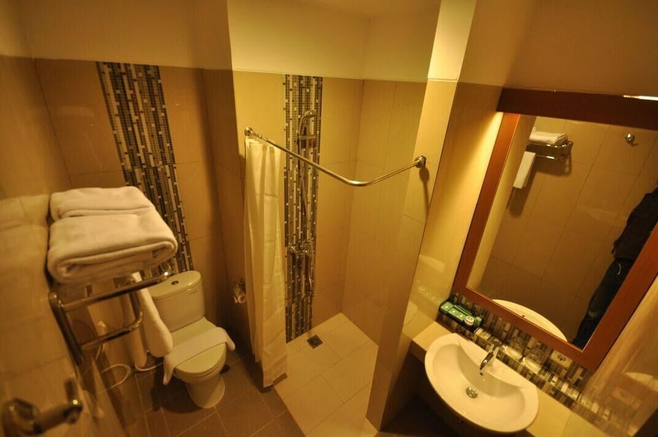 Deluxe Double Room | Free WiFi, wheelchair access