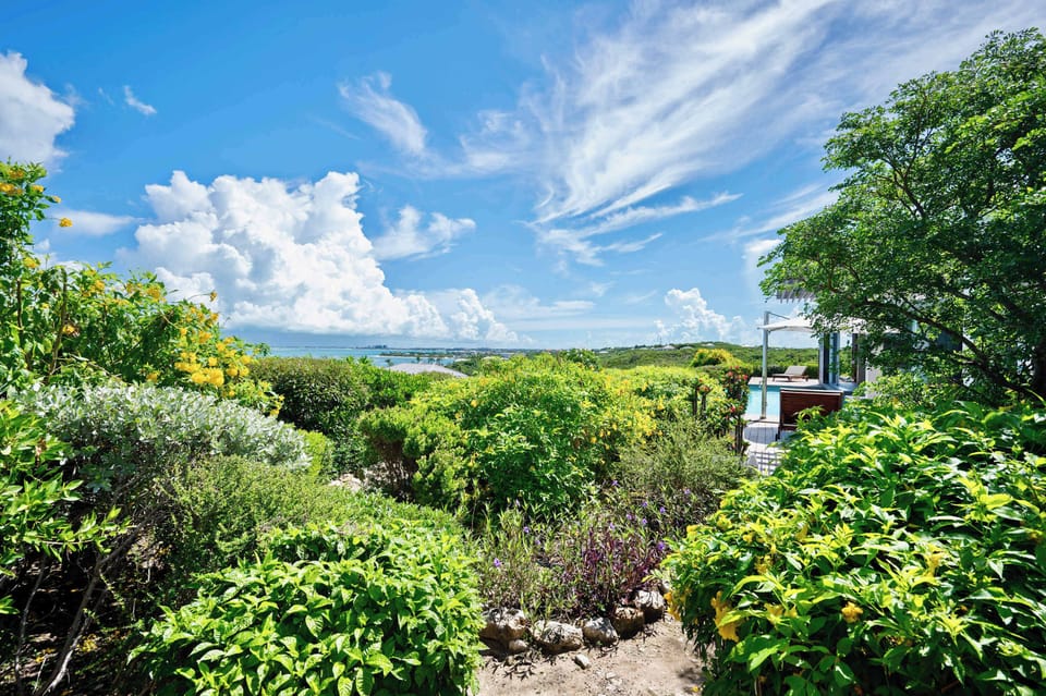 Lush Gardens
