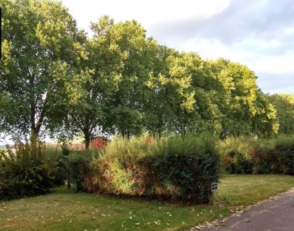 House | View from property