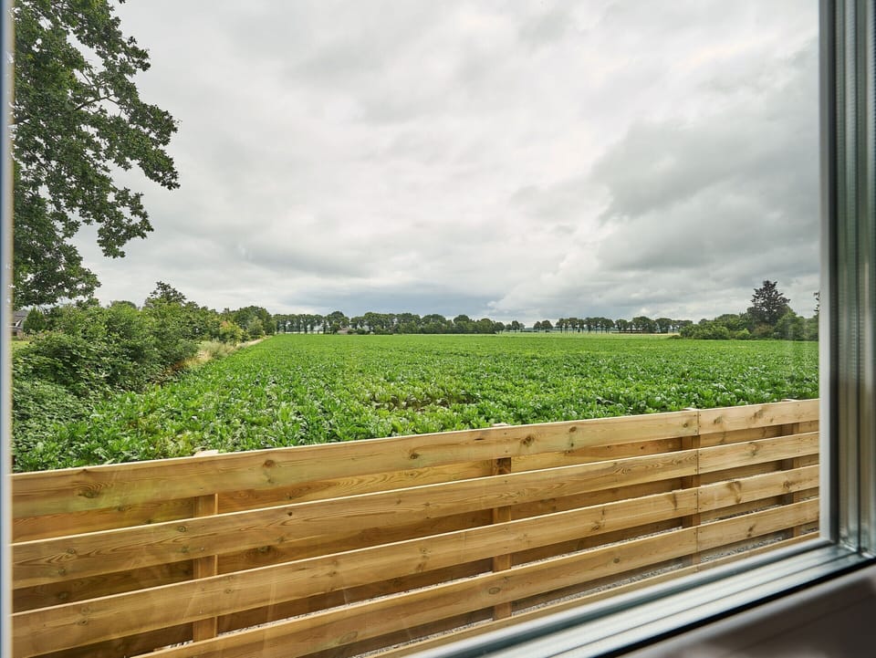 House | View from property