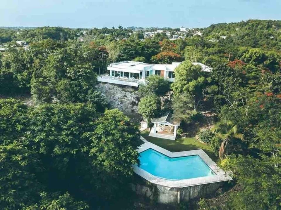 Aerial view from the ocean.