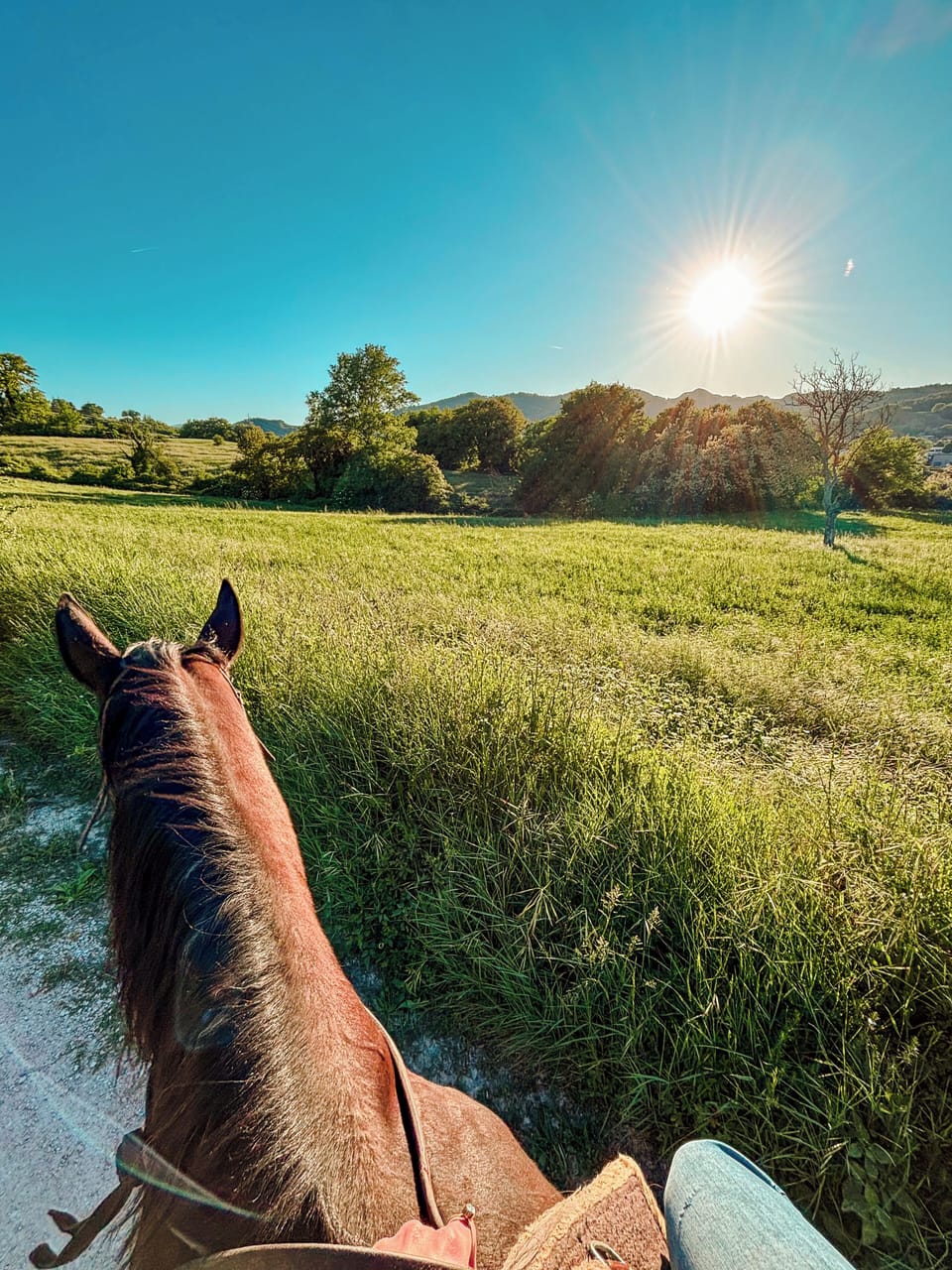 Horseback riding