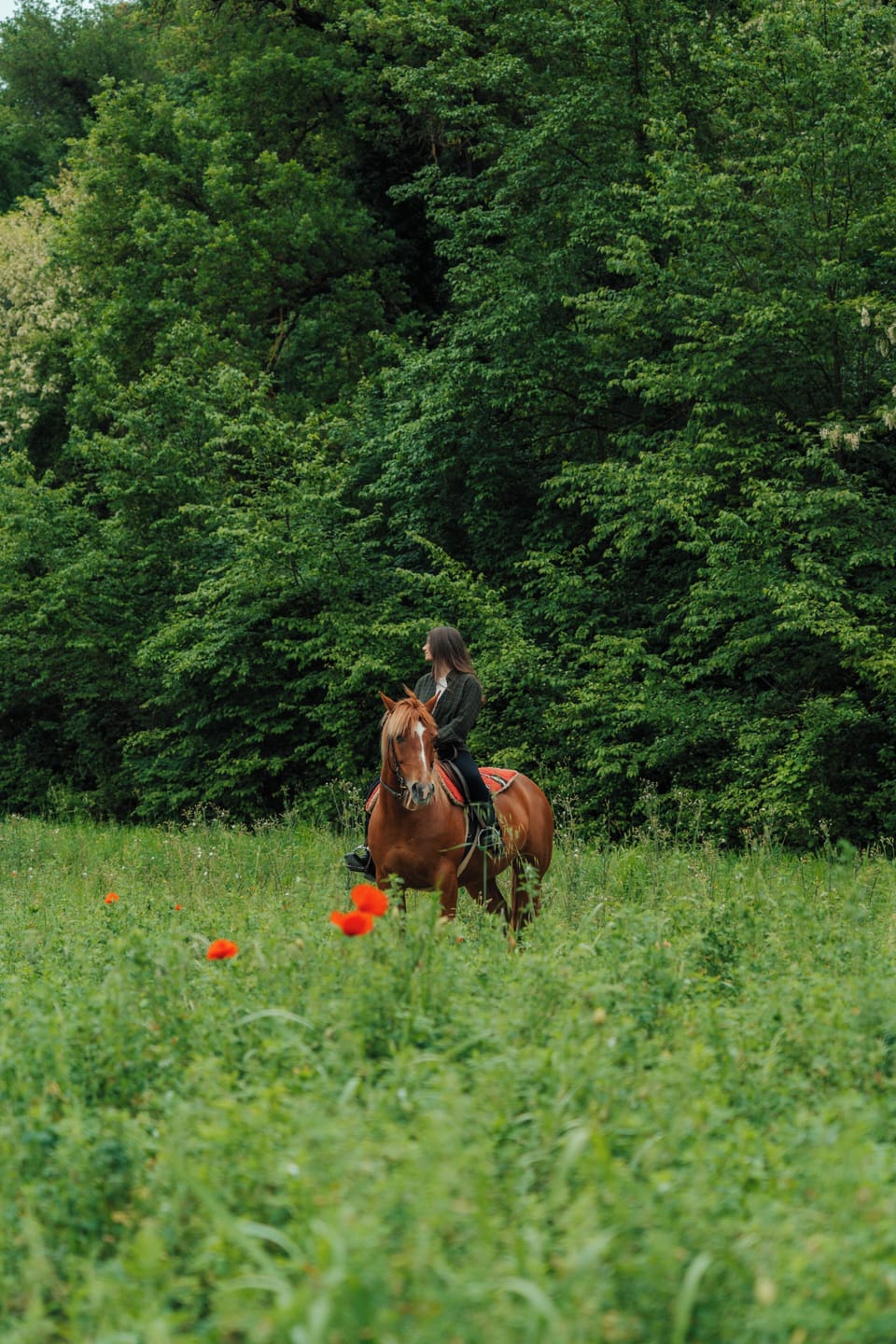 Horseback riding