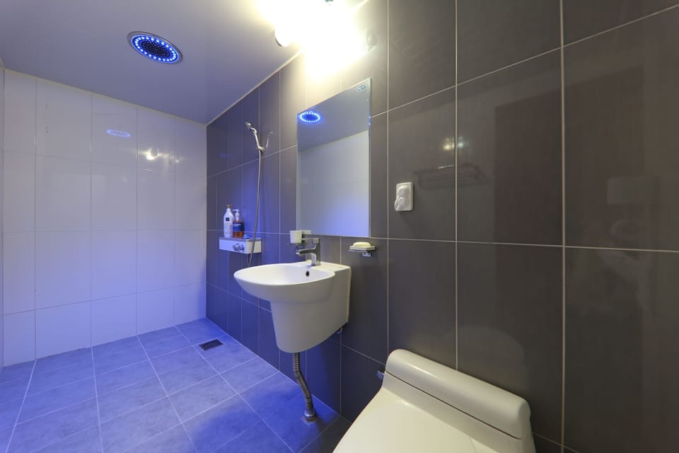 Basic Triple Room | Bathroom | Shower, hair dryer, towels