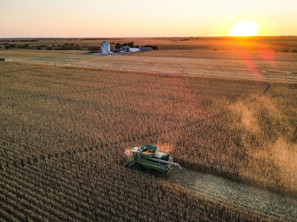 Just outside of the city limits, enjoy the dreamy sunsets over famland.