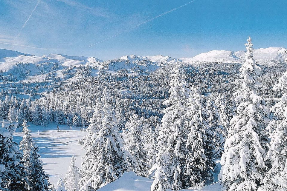 Immediate Surroundings [winter] (<1 km)