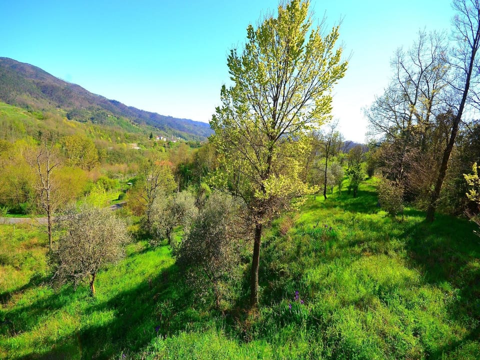 View from Holiday Home [summer]