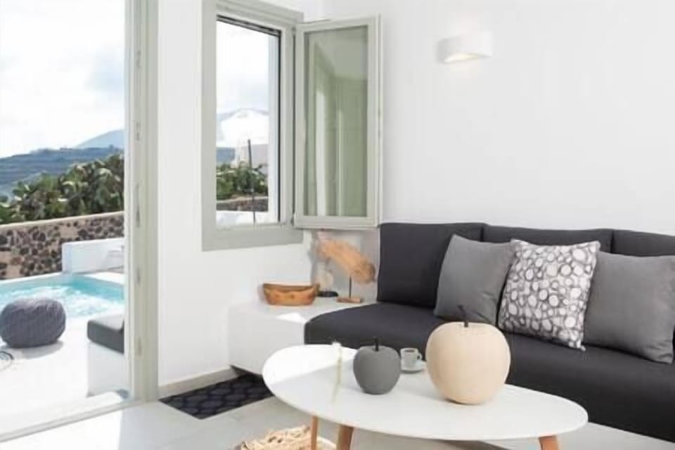 Living Room/Outdoor View with Plunge Pool
