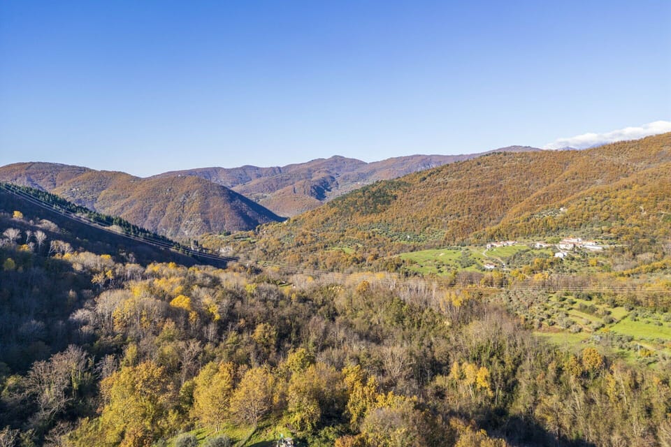 Autumn, Scenic View, Spring, Summer