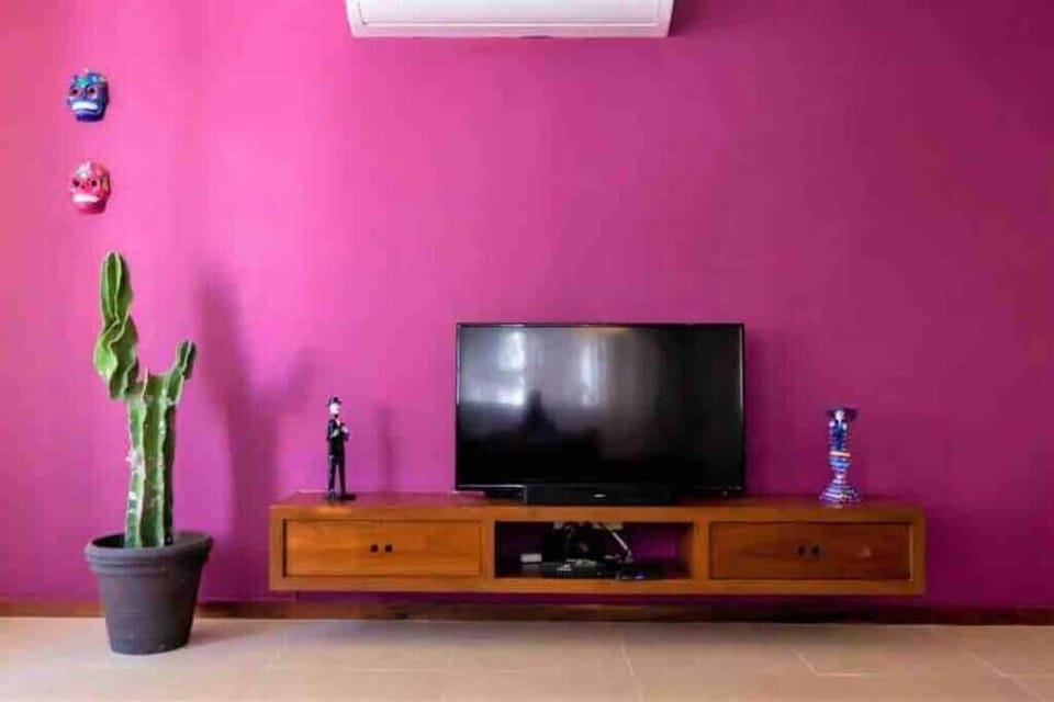 THE MEXICAN ONE | Living area | TV
