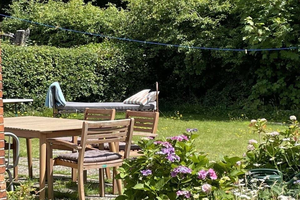 Garden [summer]