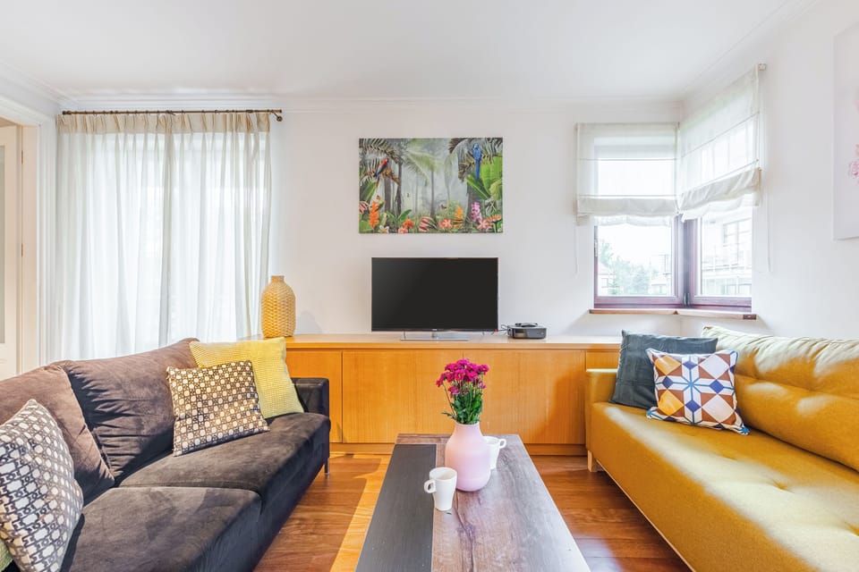 Apartment | Living room | 40-inch flat-screen TV with cable channels