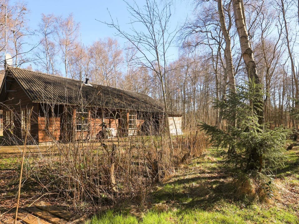 House | View from property