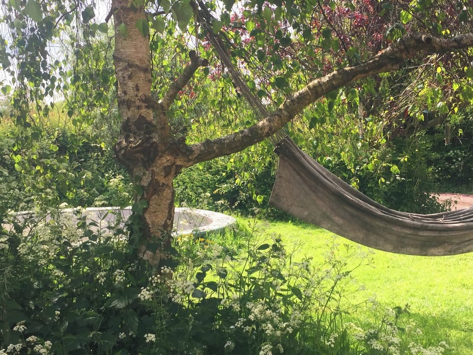 Garden and grounds | Feltham&rsquo;s Cottage - Feltham&rsquo;s Farm, Horsington Marsh, near Templecombe