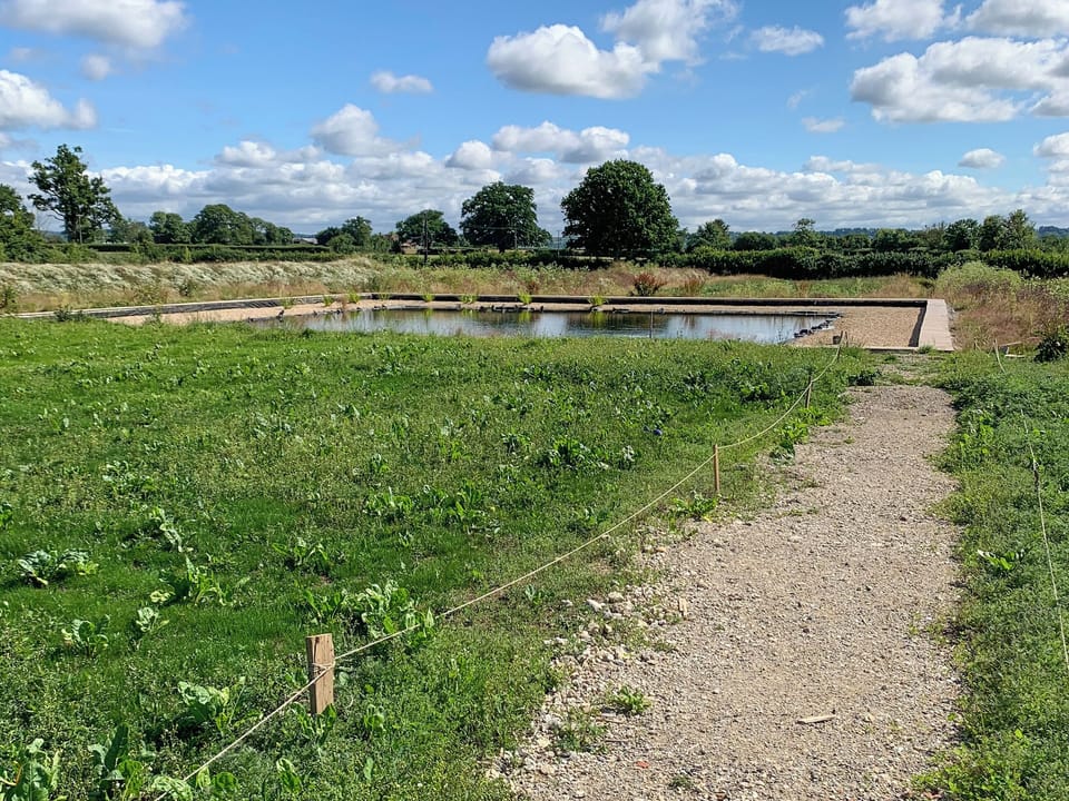 Garden and grounds | Feltham&rsquo;s Cottage - Feltham&rsquo;s Farm, Horsington Marsh, near Templecombe