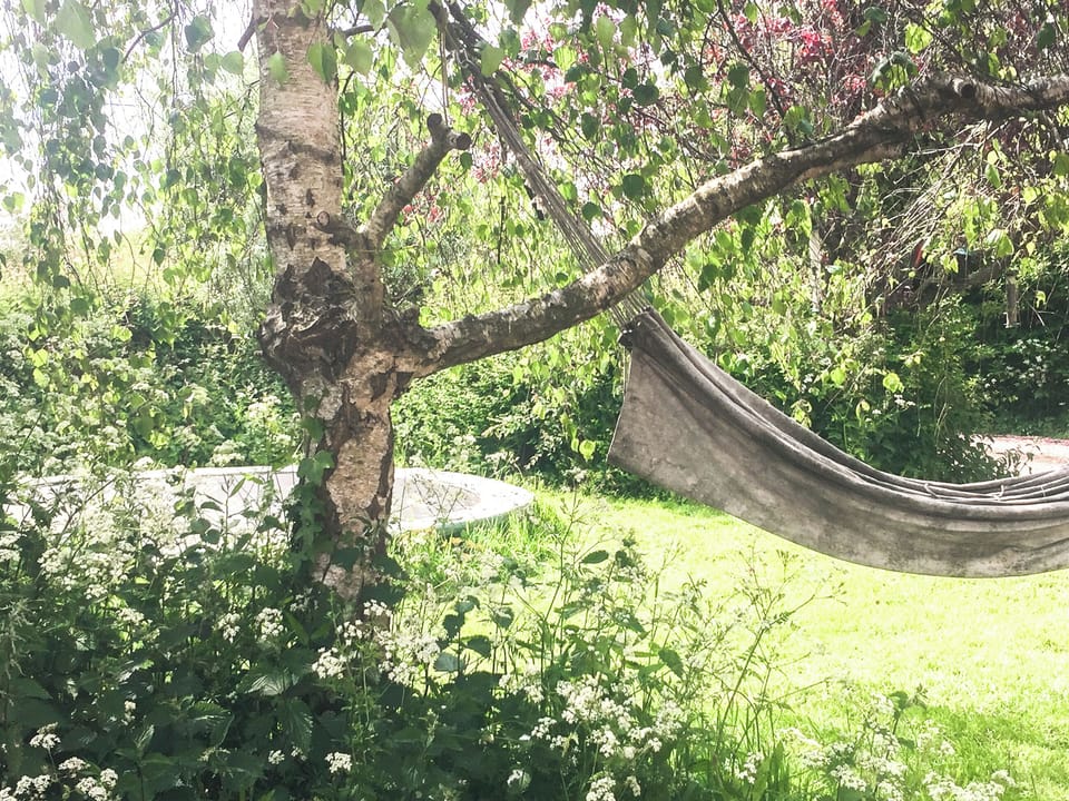Garden and grounds | The Organic Cabin - Feltham&rsquo;s Farm, Horsington Marsh, near Templecombe