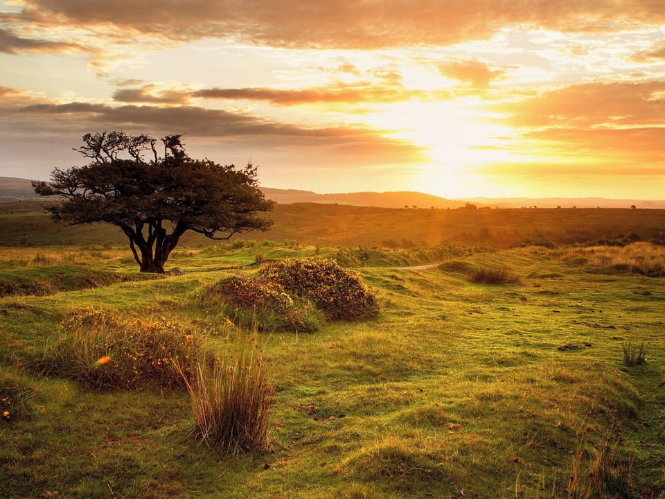 Dartmoor National Park