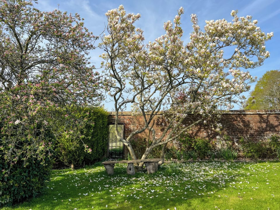Garden | Stablehurst Cottage, East Grinstead