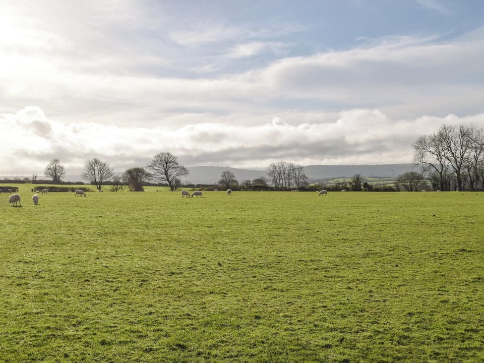 Surrounding area | Welshouse, Henllan