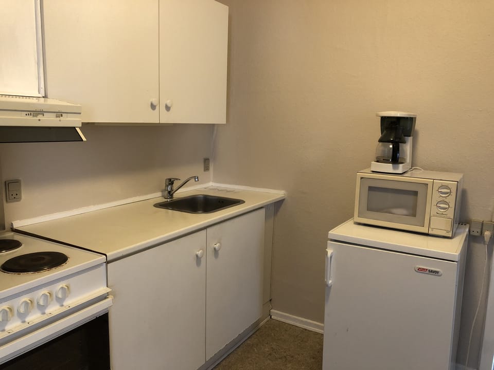 Apartment, 1 Bedroom, Kitchen | Private kitchen | Fridge, coffee/tea maker, cookware/dishes/utensils, cleaning supplies