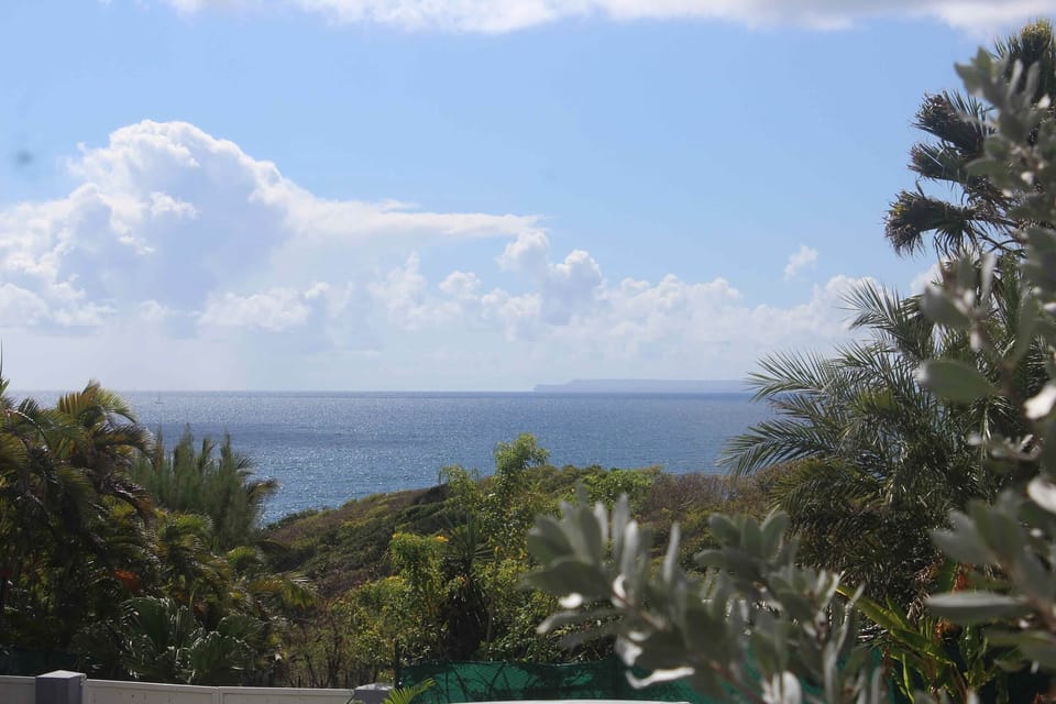 Iguane House villas & Micro Spa Villa Mangrove et sa vue mer sur Marie Galante