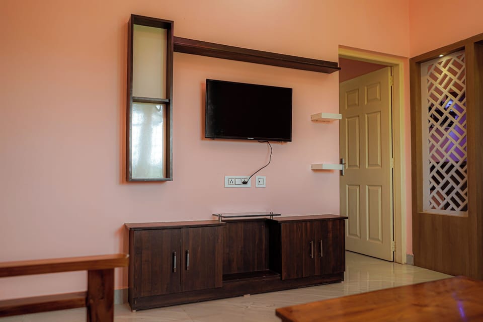 Flat-screen TV