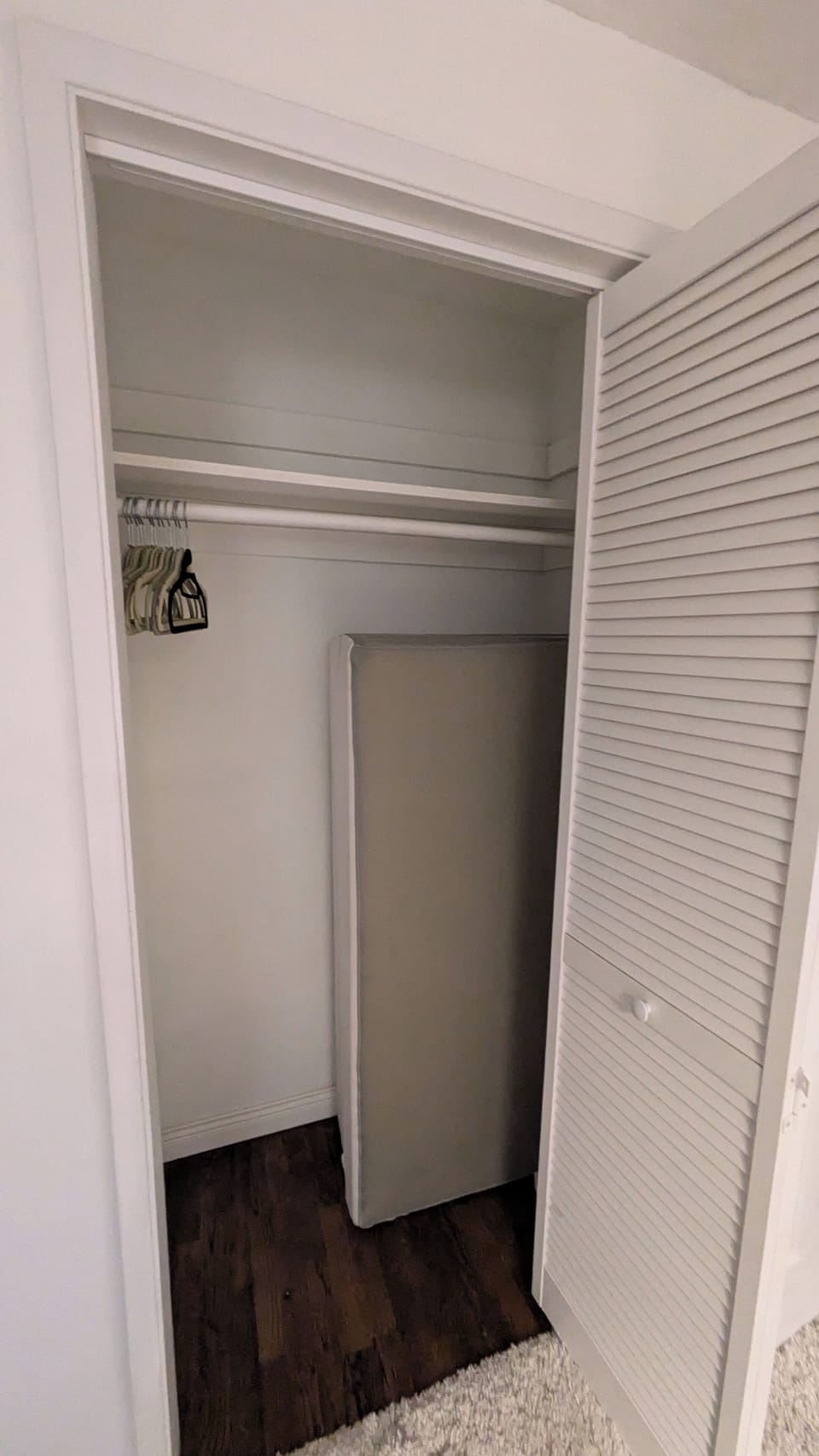 Queen fold up bed in closet. 
