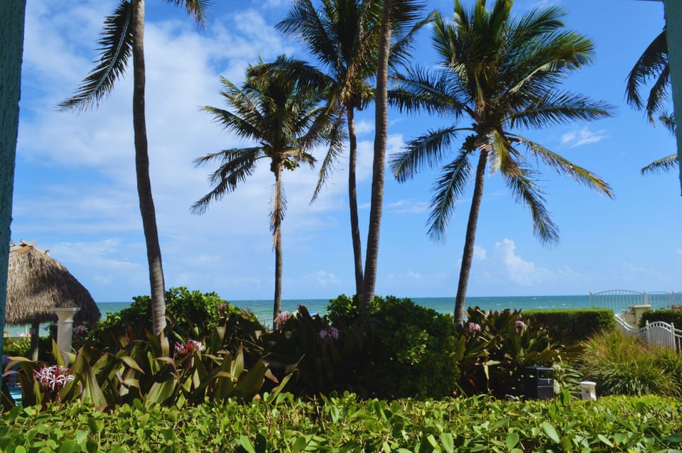 View from property