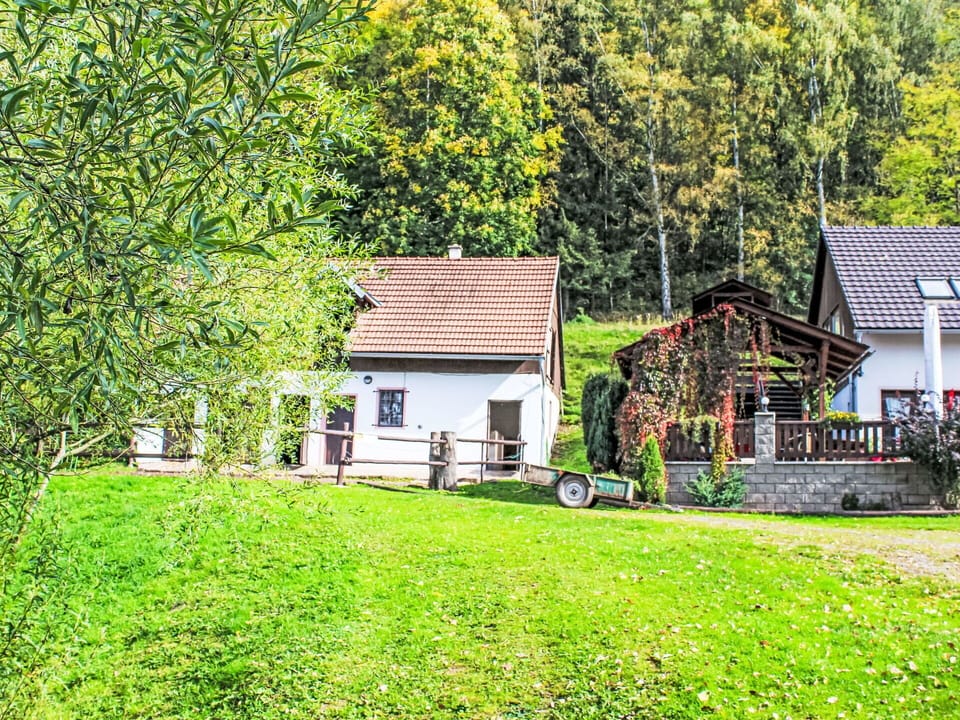 Plant, Building, Nature, Natural Landscape, Window, Tree, Land Lot, House, Biome, Grass
