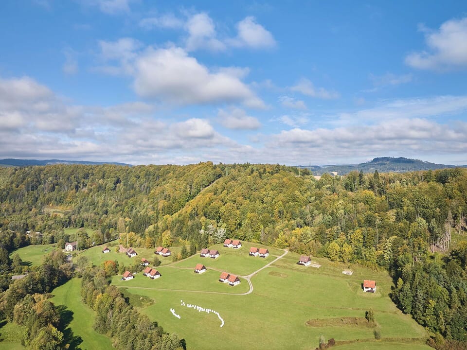 Grass, Tree, Natural Environment, Grassland, Natural Landscape, Plain, Landscape, Rural Area, Land Lot, Field