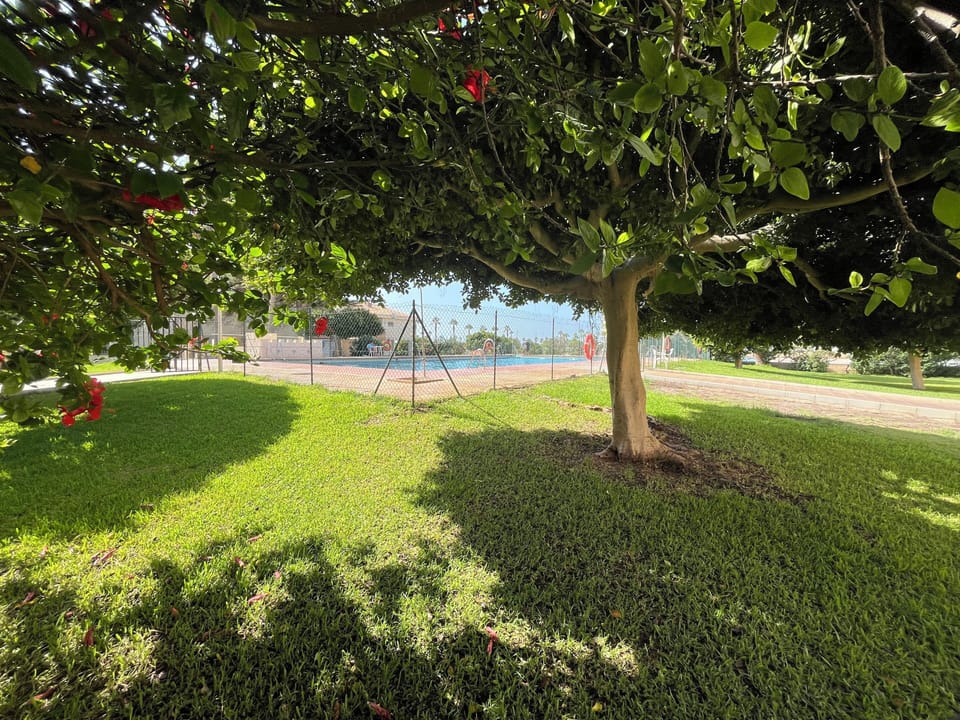 Apartment, 2 Bedrooms, Terrace, City View | Property grounds
