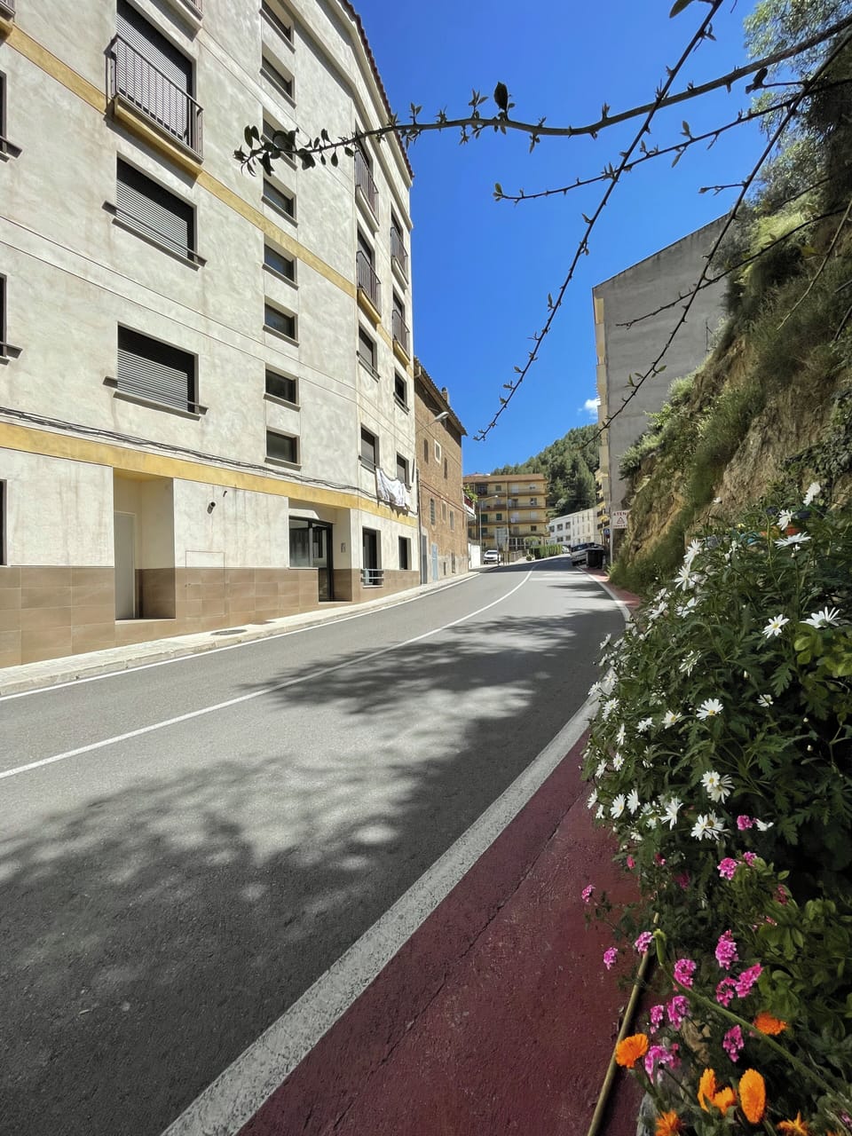 Apartment, 3 Bedrooms, Mountain View | Property grounds