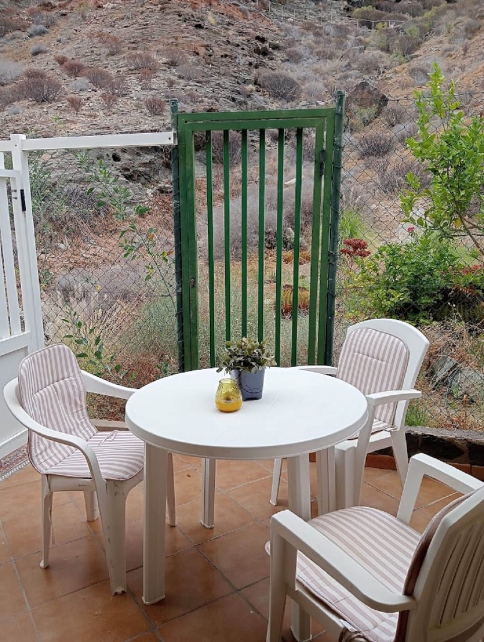 Studio, Smoking, Patio | Terrace/patio