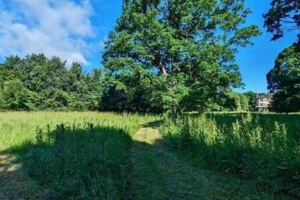 C6a0fdc3 68ac 43cc adb4 c1b635e7b7cc