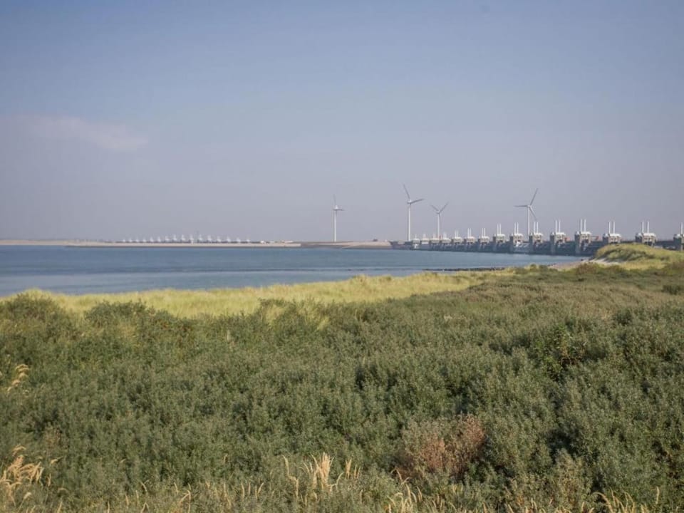 Region [summer] (>5 km)