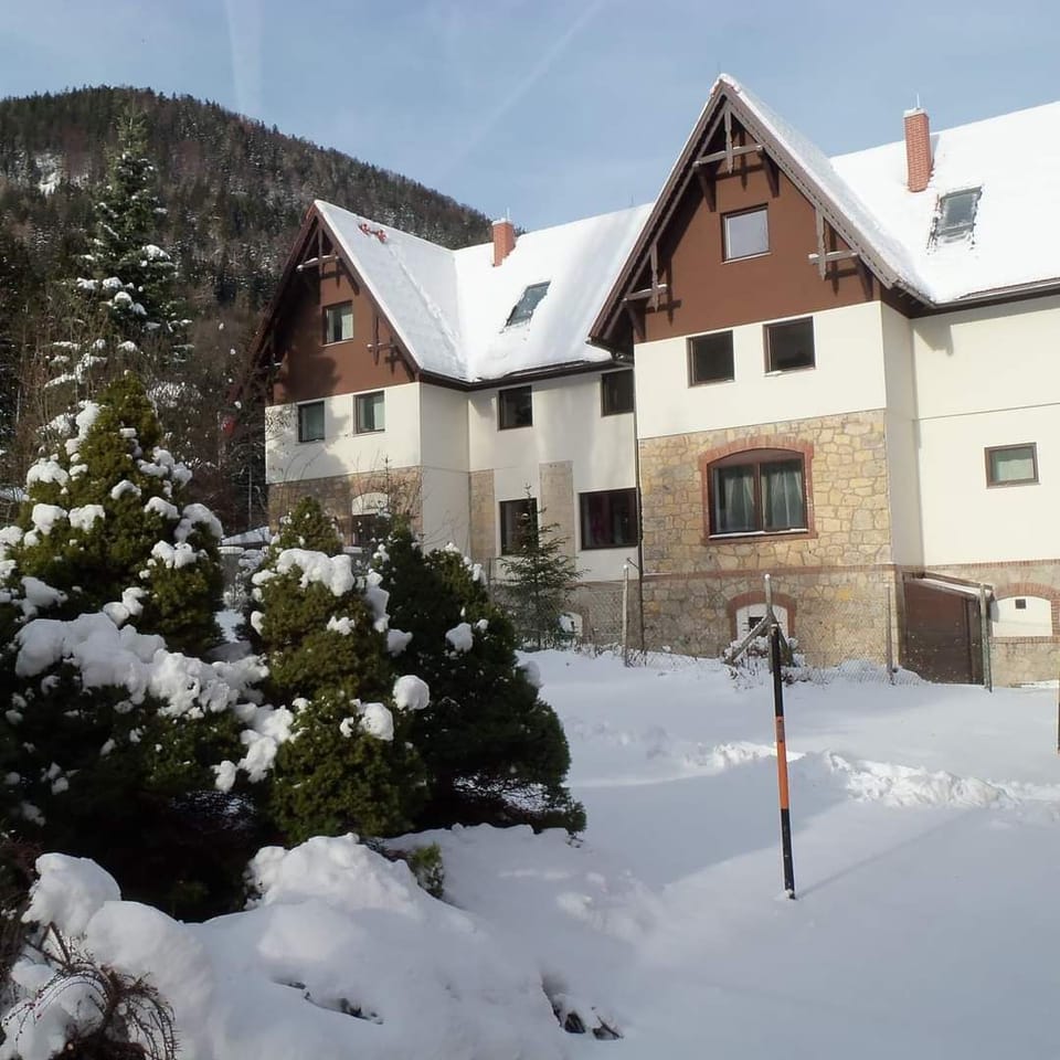 Villa Wellspacher is a historic villa which was completely restored in 2011. 