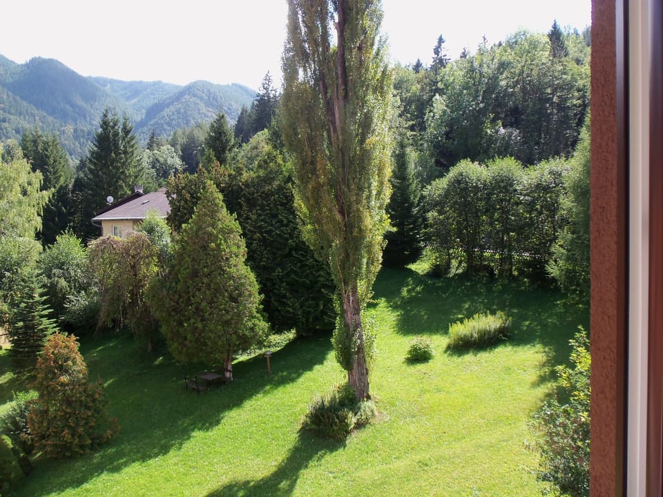 View from Villa Wellspacher